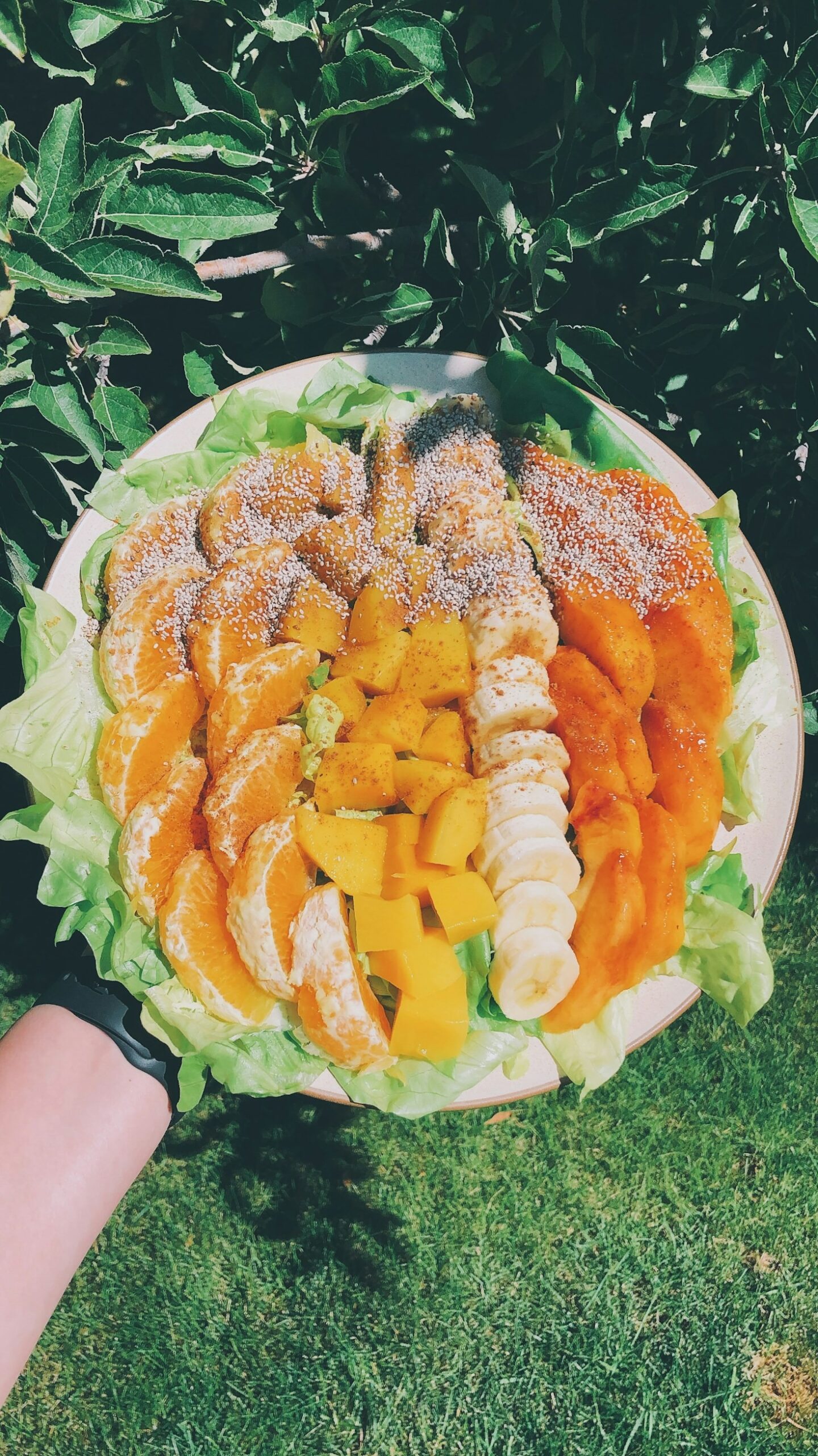 High-Protein Meal Prep Recipes for Busy Weekdays